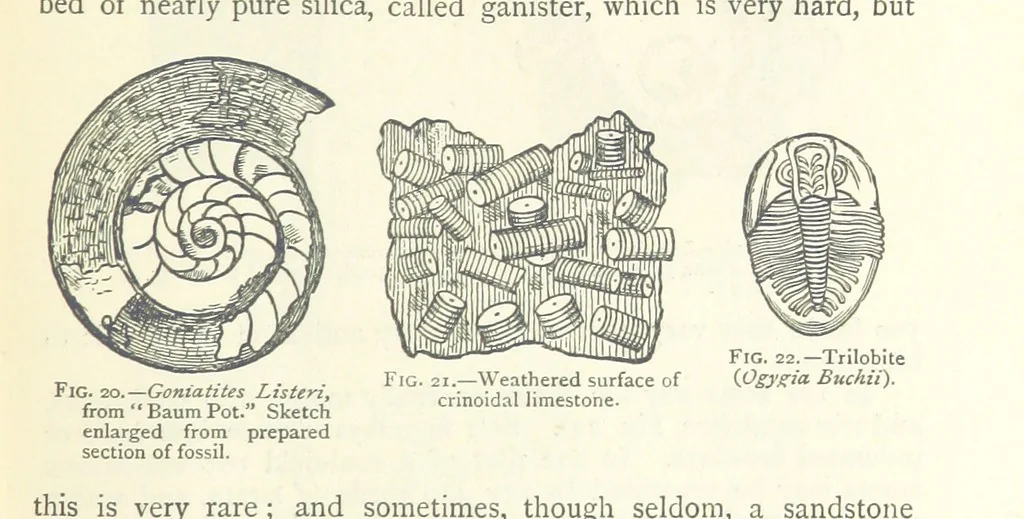 An illustration from Mining. An elementary treatise on the getting of minerals, 1893, leaf 45