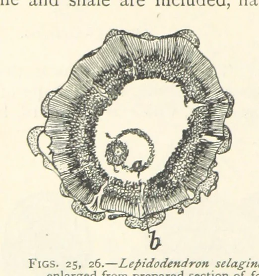 An illustration from Mining. An elementary treatise on the getting of minerals, 1893, leaf 46
