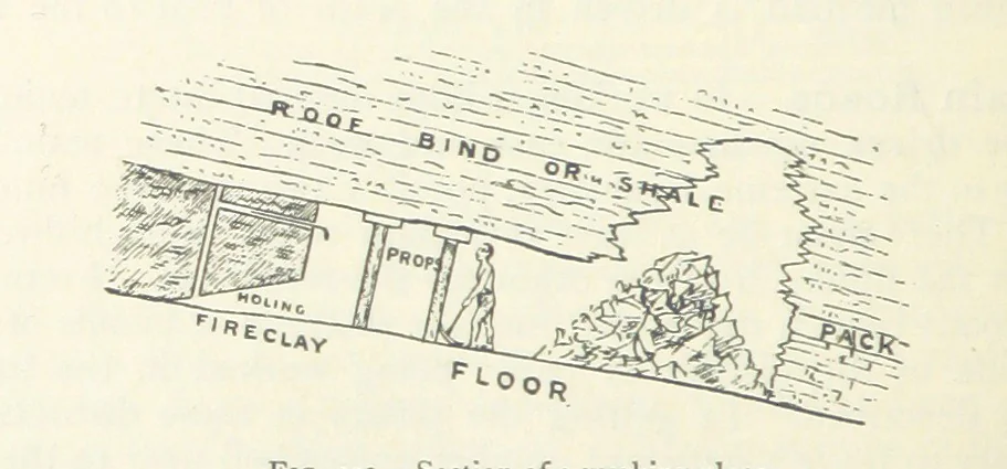 An illustration from Mining ... New edition, 1899, leaf 216