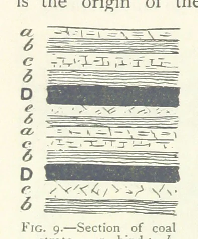 An illustration from Mining ... New edition, 1899, leaf 58