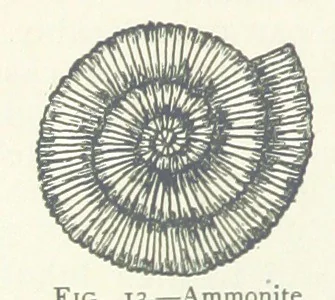 An illustration from Mining ... New edition, 1899, leaf 64
