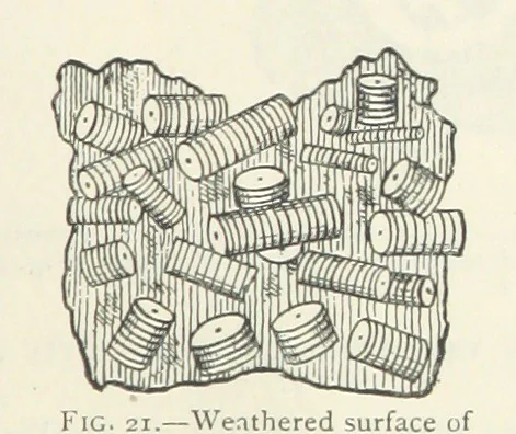 An illustration from Mining ... New edition, 1899, leaf 65