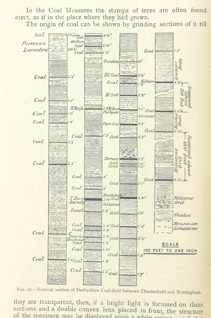 An illustration from Mining ... New edition, 1899, leaf 68