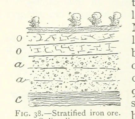An illustration from Mining ... New edition, 1899, leaf 78