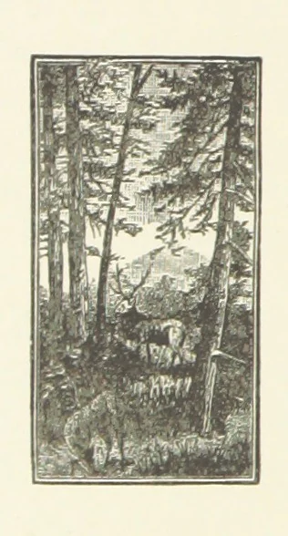 An illustration from Unequally Yoked, 1891, leaf 134