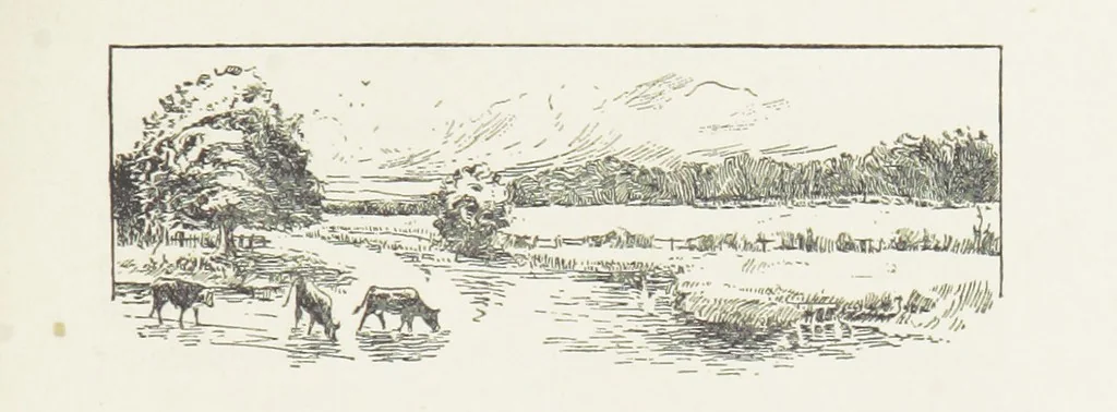 An illustration from Unequally Yoked, 1891, leaf 135