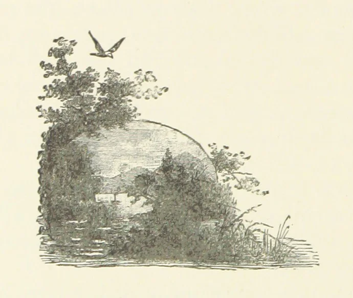An illustration from Unequally Yoked, 1891, leaf 154