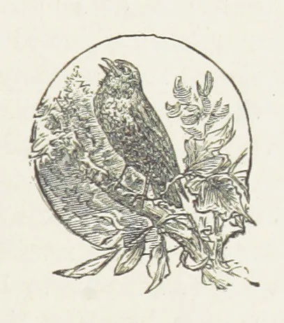 An illustration from Unequally Yoked, 1891, leaf 209