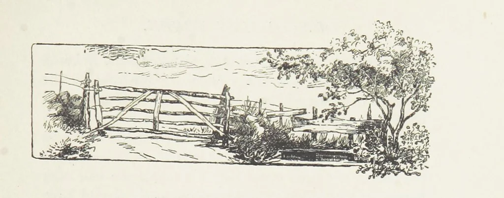 An illustration from Unequally Yoked, 1891, leaf 217