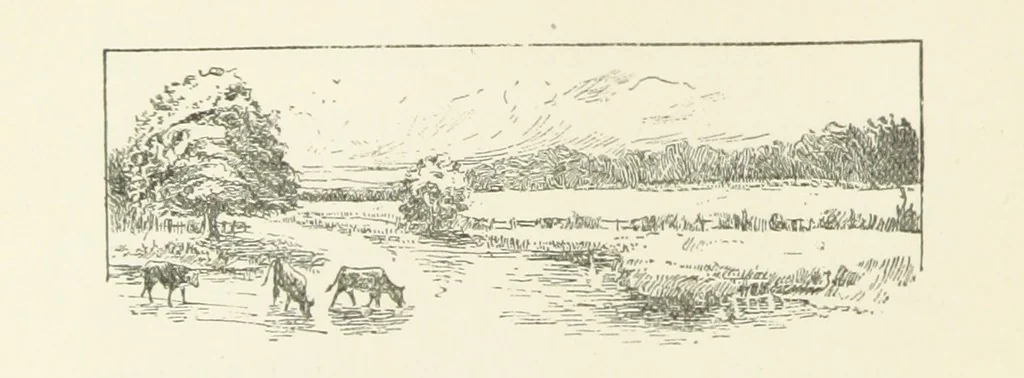 An illustration from Unequally Yoked, 1891, leaf 24