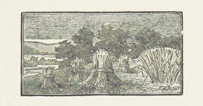An illustration from Unequally Yoked, 1891, leaf 253