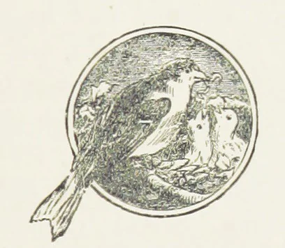 An illustration from Unequally Yoked, 1891, leaf 51