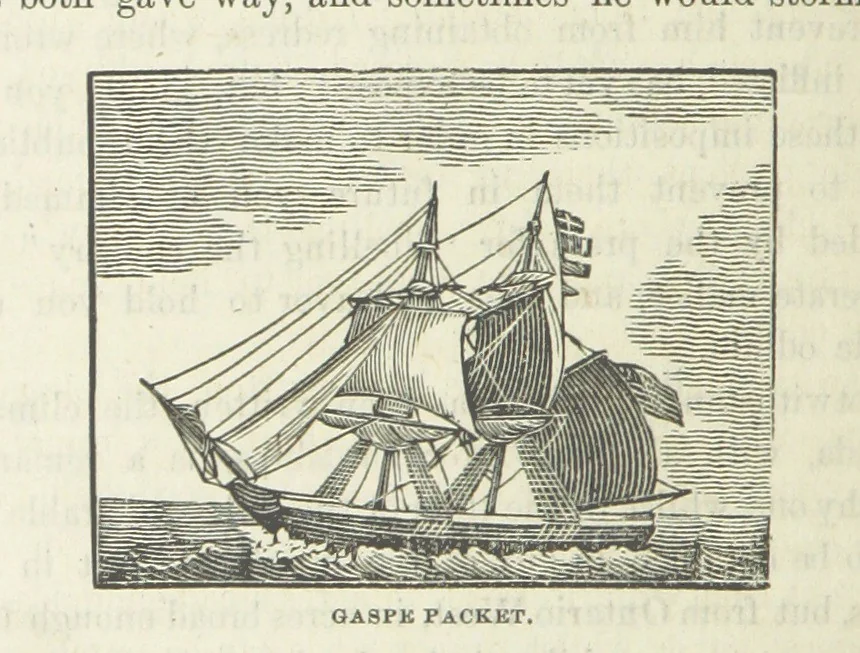An illustration from Canada; from the lakes to the gulf. ... A compendium of travel ... with ... illustrations, by Captain Mac, 1881, leaf 135