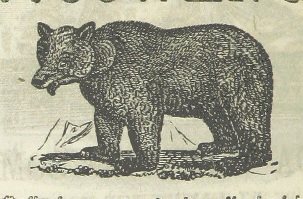 An illustration from Canada; from the lakes to the gulf. ... A compendium of travel ... with ... illustrations, by Captain Mac, 1881, leaf 213