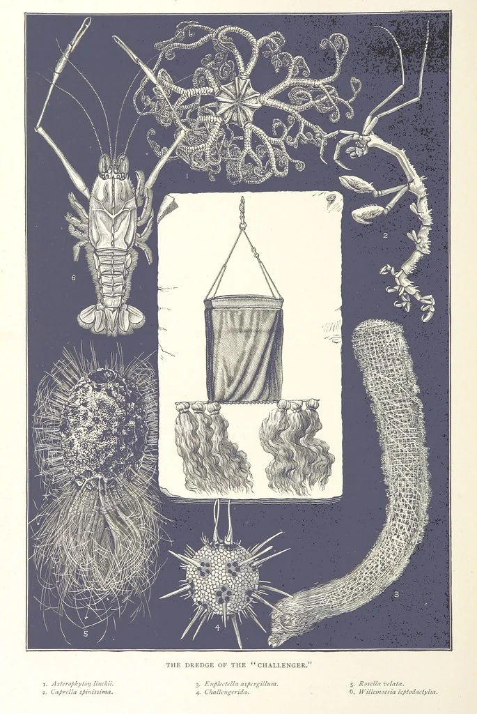 An illustration from Sea Pictures, drawn with pen and pencil, 1882, leaf 106