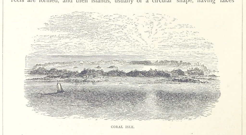An illustration from Sea Pictures, drawn with pen and pencil, 1882, leaf 112