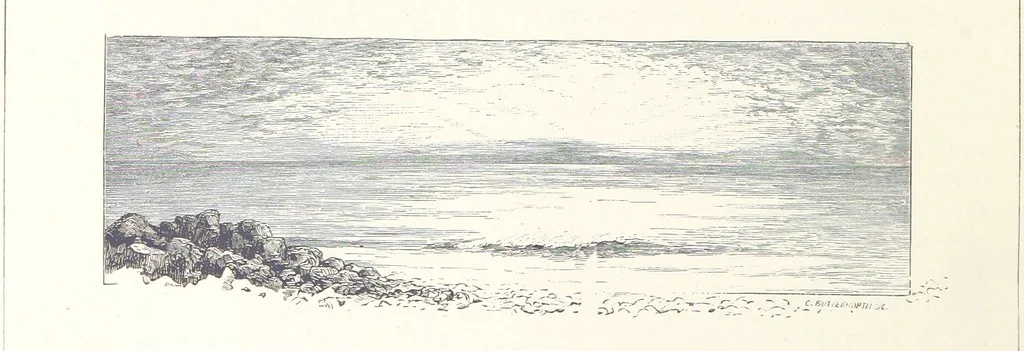 An illustration from Sea Pictures, drawn with pen and pencil, 1882, leaf 114