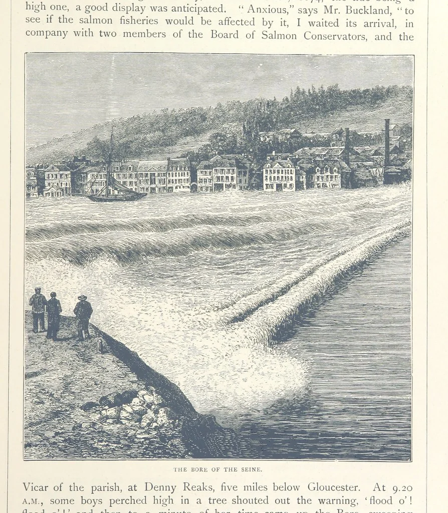 An illustration from Sea Pictures, drawn with pen and pencil, 1882, leaf 145