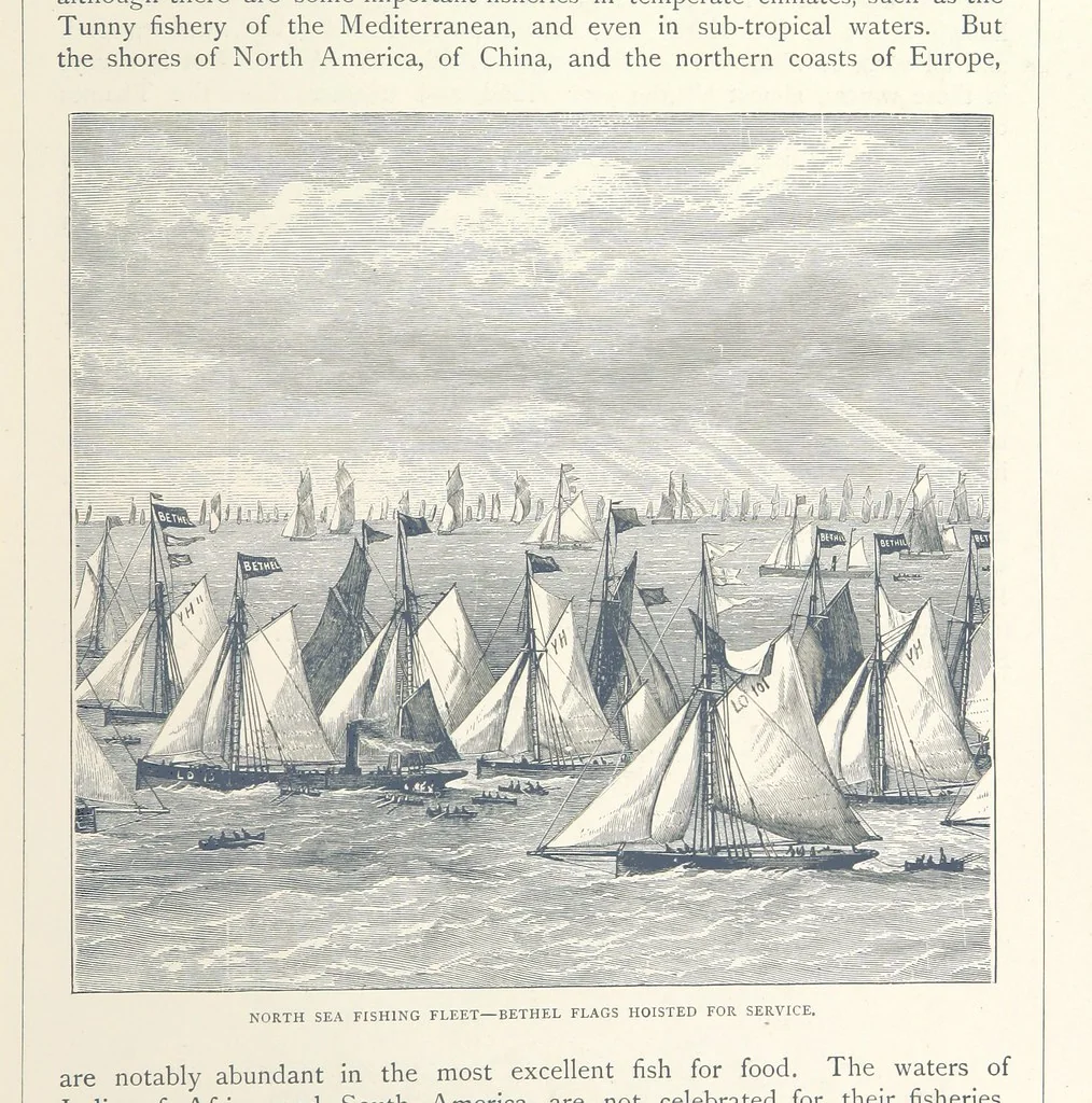 An illustration from Sea Pictures, drawn with pen and pencil, 1882, leaf 179