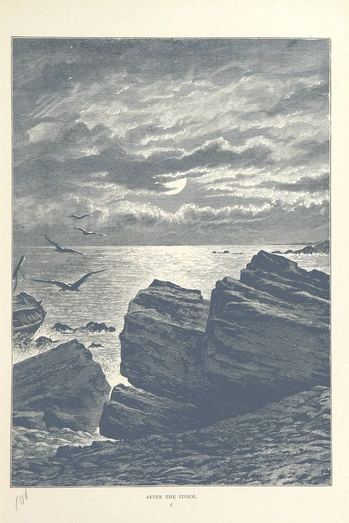 An illustration from Sea Pictures, drawn with pen and pencil, 1882, leaf 31