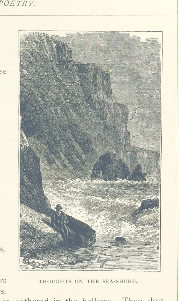 An illustration from Sea Pictures, drawn with pen and pencil, 1882, leaf 33