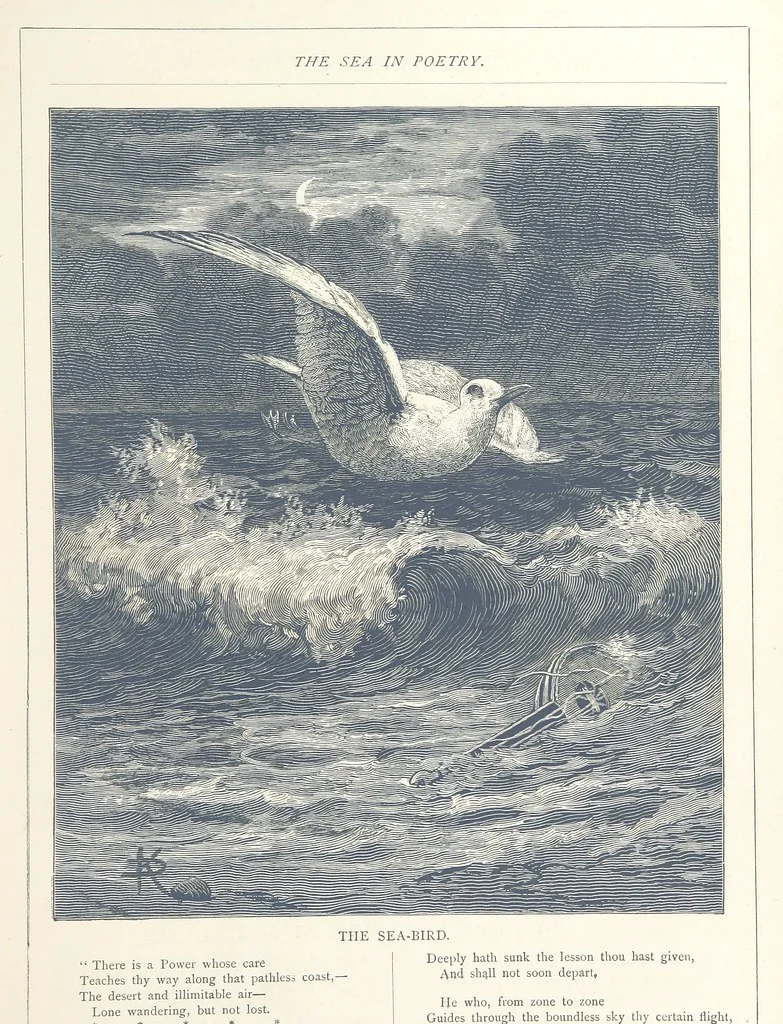 An illustration from Sea Pictures, drawn with pen and pencil, 1882, leaf 59