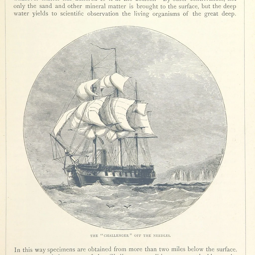An illustration from Sea Pictures, drawn with pen and pencil, 1882, leaf 73