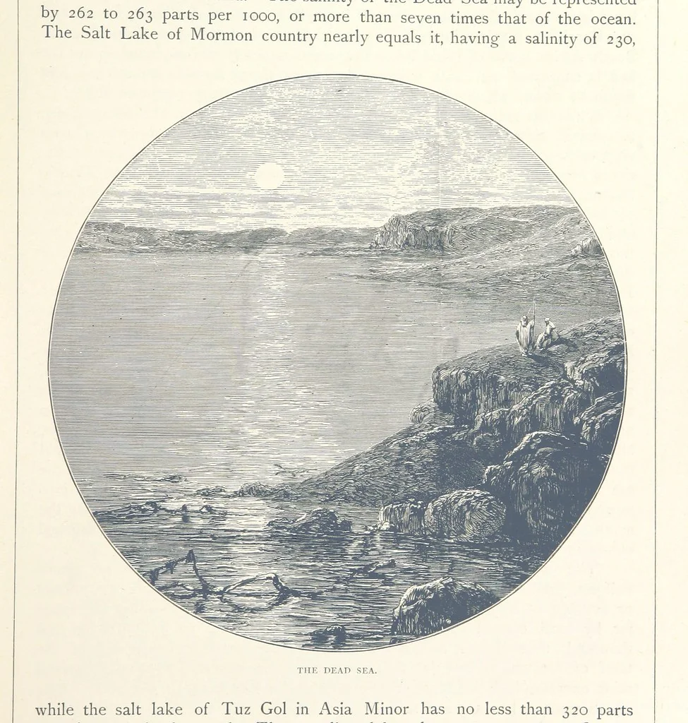 An illustration from Sea Pictures, drawn with pen and pencil, 1882, leaf 83