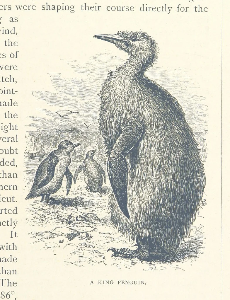 An illustration from Sea Pictures, drawn with pen and pencil, 1882, leaf 99