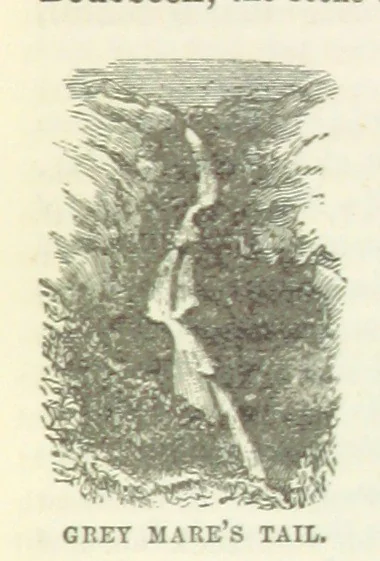 An illustration from Macdonald's Scottish Tourists' Guides. Five volumes in one. Illustrated. Accompanied with ... maps and plans, etc, 1888, leaf 113