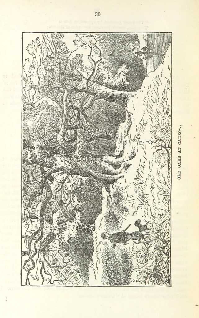 An illustration from Macdonald's Scottish Tourists' Guides. Five volumes in one. Illustrated. Accompanied with ... maps and plans, etc, 1888, leaf 204