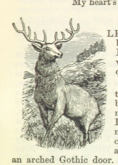 An illustration from Macdonald's Scottish Tourists' Guides. Five volumes in one. Illustrated. Accompanied with ... maps and plans, etc, 1888, leaf 339