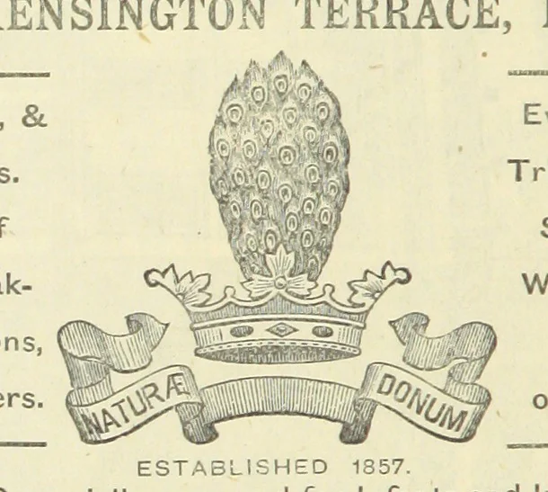 An illustration from Macdonald's Scottish Tourists' Guides. Five volumes in one. Illustrated. Accompanied with ... maps and plans, etc, 1888, leaf 486