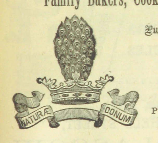 An illustration from Macdonald's Scottish Tourists' Guides. Five volumes in one. Illustrated. Accompanied with ... maps and plans, etc, 1888, leaf 489