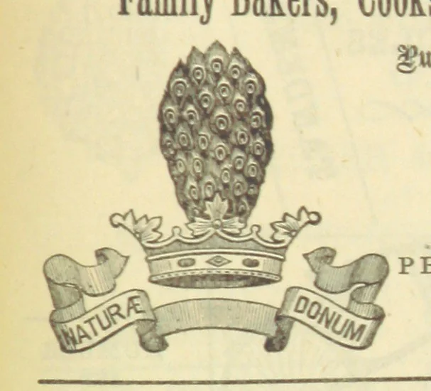An illustration from Macdonald's Scottish Tourists' Guides. Five volumes in one. Illustrated. Accompanied with ... maps and plans, etc, 1888, leaf 489