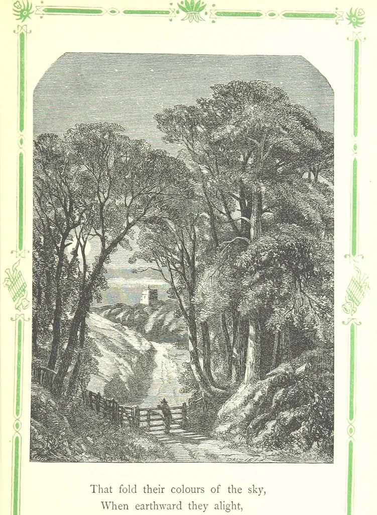 An illustration from The home affections pourtrayed by the poets. Selected and edited by Charles Mackay. Illustrated with ... engravings ... by eminent artists, and engraved by the Brothers Dalziel, 1883, leaf 125