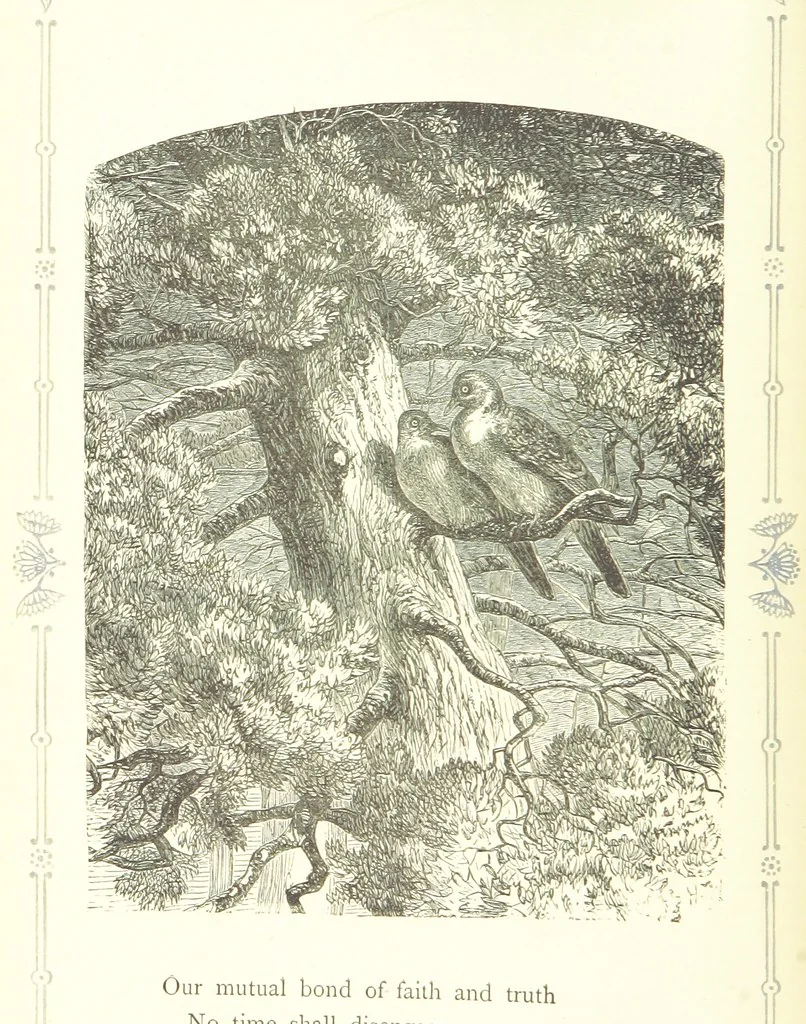 An illustration from The home affections pourtrayed by the poets. Selected and edited by Charles Mackay. Illustrated with ... engravings ... by eminent artists, and engraved by the Brothers Dalziel, 1883, leaf 24