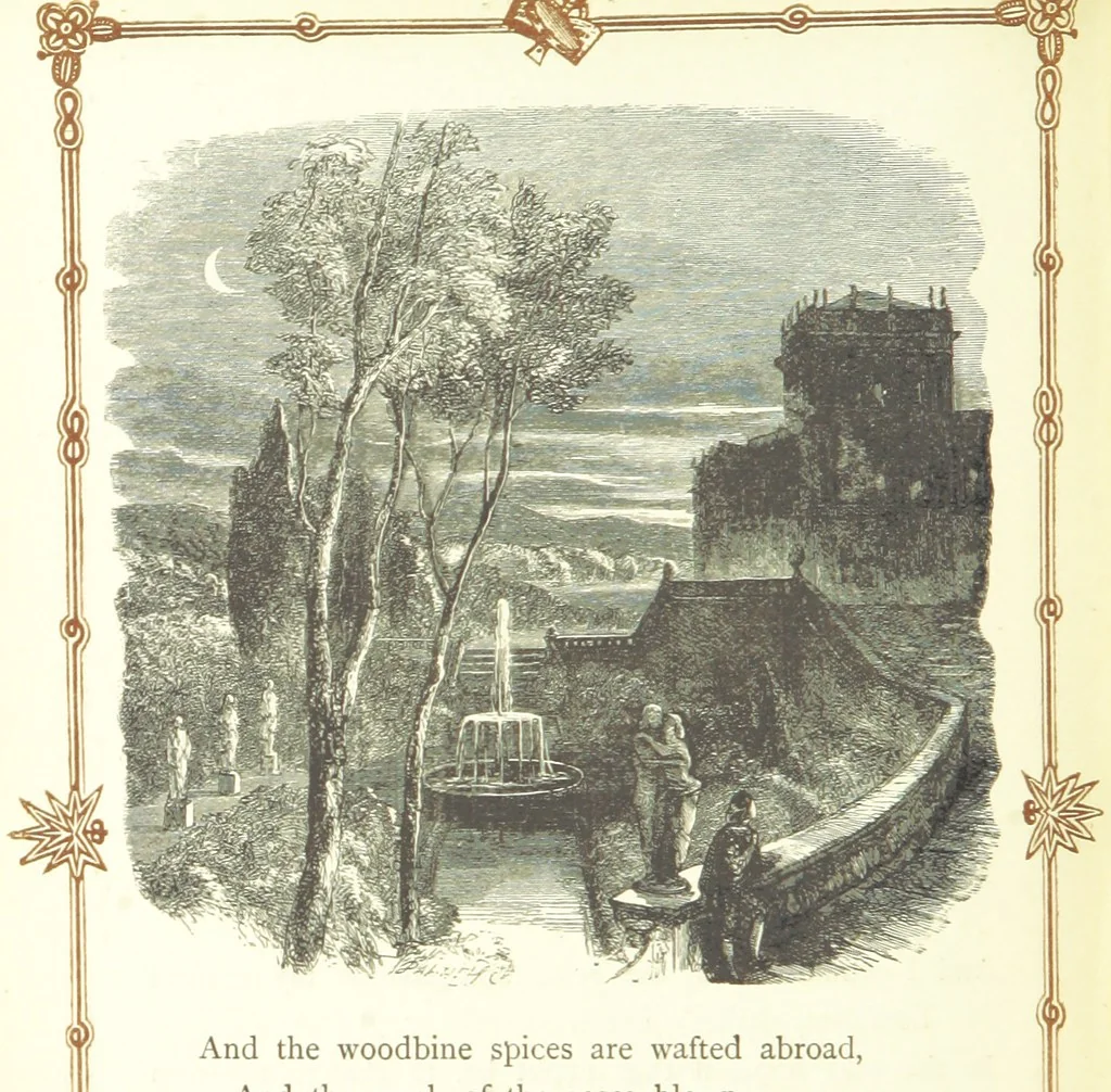 An illustration from The home affections pourtrayed by the poets. Selected and edited by Charles Mackay. Illustrated with ... engravings ... by eminent artists, and engraved by the Brothers Dalziel, 1883, leaf 242