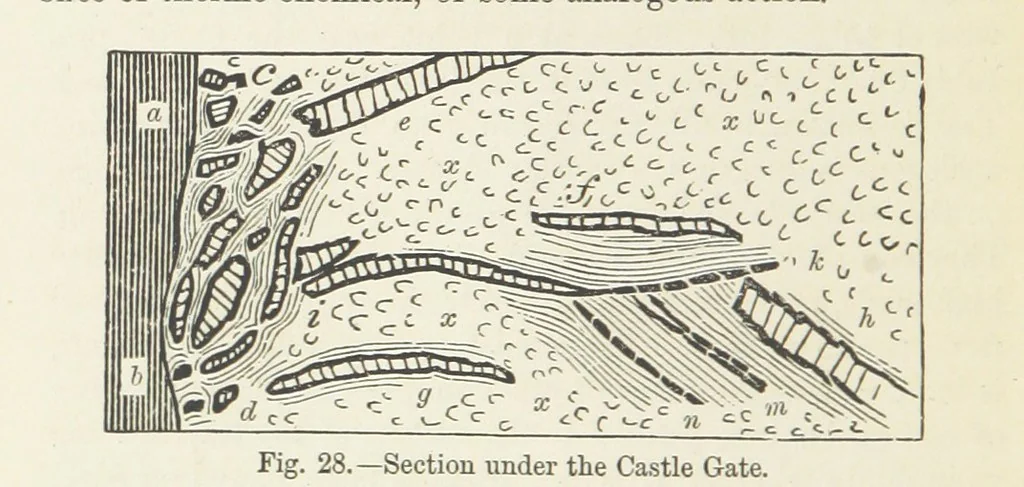 An illustration from A sketch of the Geology of Fife and the Lothians, including detailed descriptions of Arthur's Seat and Pentland Hills, 1866, leaf 100