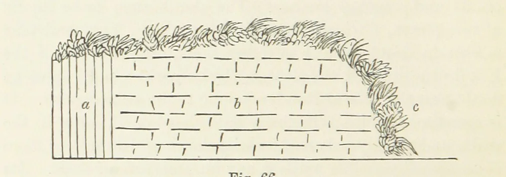 An illustration from A sketch of the Geology of Fife and the Lothians, including detailed descriptions of Arthur's Seat and Pentland Hills, 1866, leaf 236