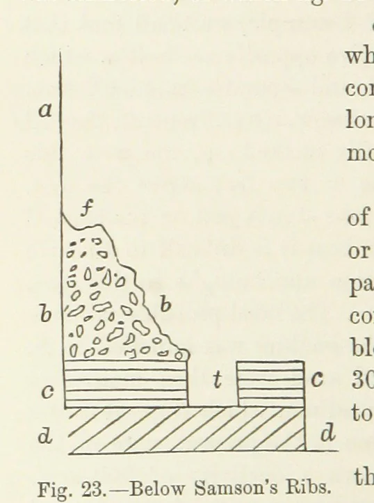 An illustration from A sketch of the Geology of Fife and the Lothians, including detailed descriptions of Arthur's Seat and Pentland Hills, 1866, leaf 90