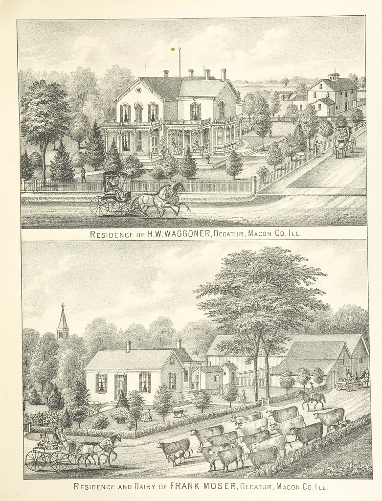 An illustration from History of Macon County, Illinois. With illustrations ... and biographical sketches, etc, 1880, leaf 163