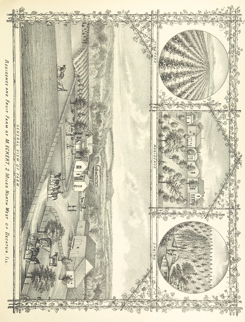 An illustration from History of Macon County, Illinois. With illustrations ... and biographical sketches, etc, 1880, leaf 171