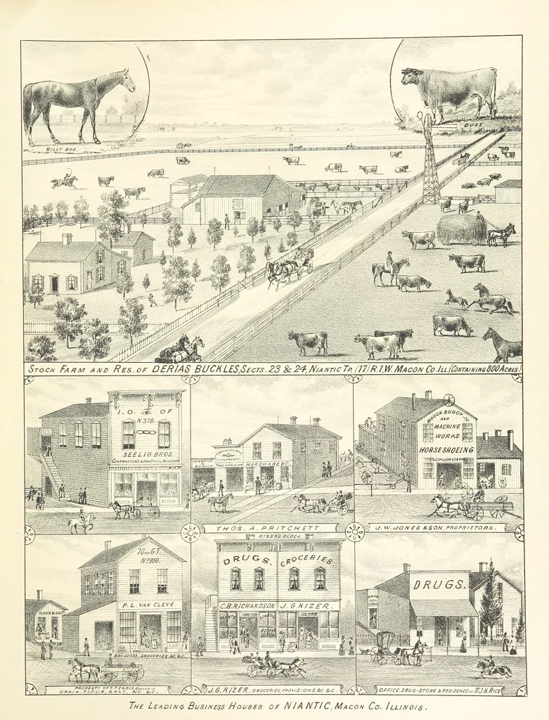 An illustration from History of Macon County, Illinois. With illustrations ... and biographical sketches, etc, 1880, leaf 205