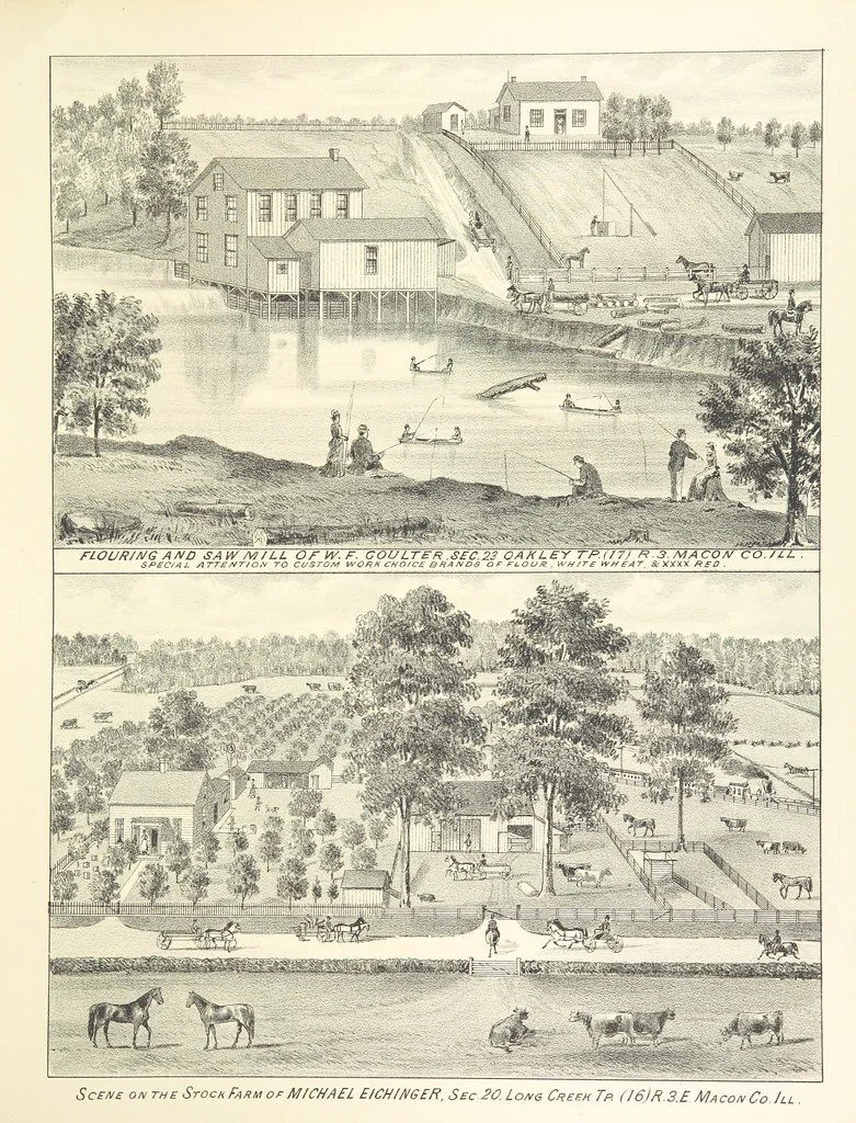 An illustration from History of Macon County, Illinois. With illustrations ... and biographical sketches, etc, 1880, leaf 213