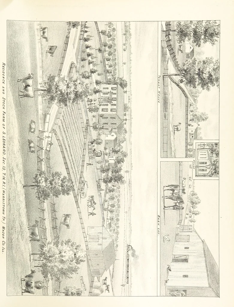 An illustration from History of Macon County, Illinois. With illustrations ... and biographical sketches, etc, 1880, leaf 215