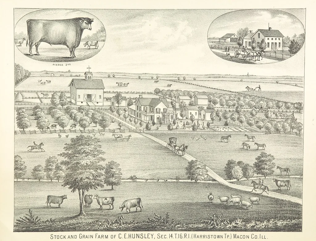 An illustration from History of Macon County, Illinois. With illustrations ... and biographical sketches, etc, 1880, leaf 219