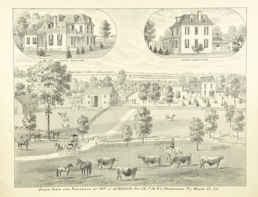 An illustration from History of Macon County, Illinois. With illustrations ... and biographical sketches, etc, 1880, leaf 221