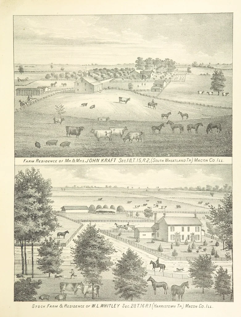 An illustration from History of Macon County, Illinois. With illustrations ... and biographical sketches, etc, 1880, leaf 225