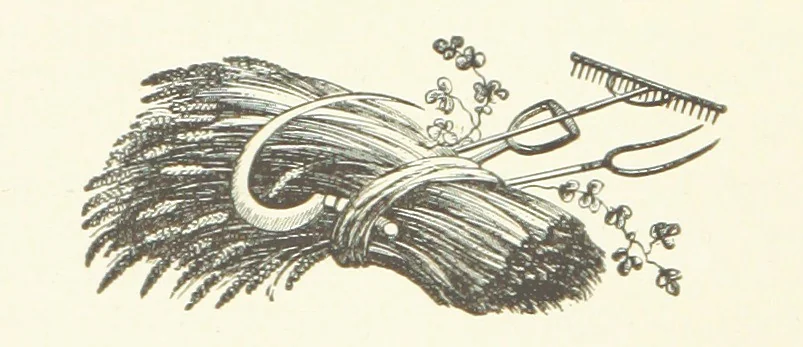 An illustration from History of Macon County, Illinois. With illustrations ... and biographical sketches, etc, 1880, leaf 228